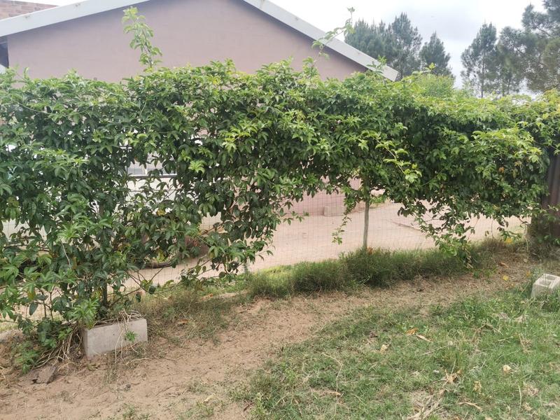 2 Bedroom Property for Sale in Albertinia Western Cape